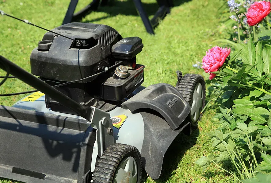 tondeuse
